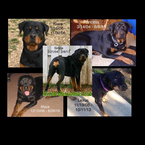 Meet your Posher, Cathy - Picture 1 of 1